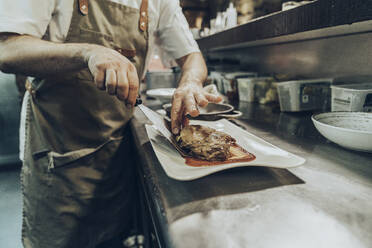 Chef arranging food on plate before serving in restaurant - MTBF00372