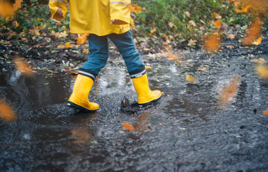 Low Section Of Boy Walking In Puddle - EYF01348