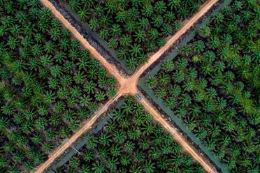 High Angle View of Agricultural Field - EYF01509