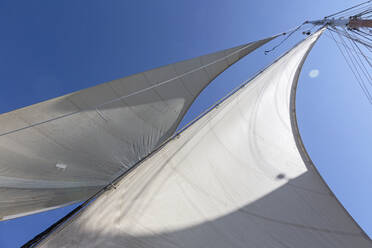 Sailboat sails blowing in breeze below sunny blue sky - HOXF05378