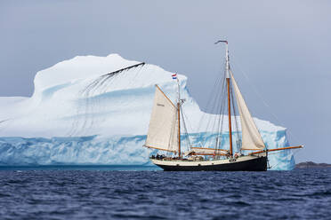 Schiff fährt entlang einer Eisbergformation im Atlantik Grönland - HOXF05381