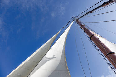 Sailboat sail and mast under sunny blue sky - HOXF05384