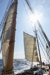 Sailboat sails and mast on sunny ocean Greenland - HOXF05387