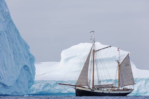 Schiff fährt an großen Eisbergen vorbei Grönland - HOXF05391