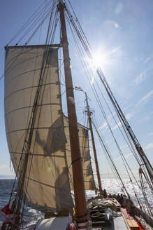 Sailboat on ocean under sunny blue sky - HOXF05431