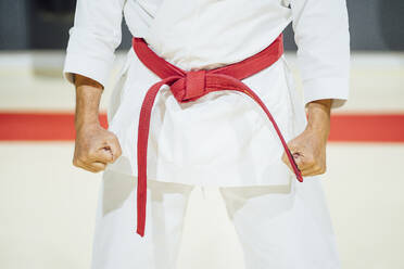 Mittelteil eines Karateka in der Turnhalle - OCMF01088