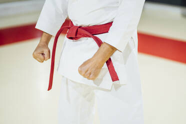 Mittelteil eines Karateka in der Turnhalle - OCMF01089