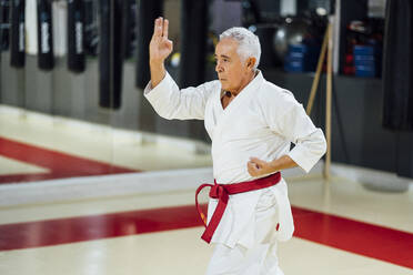 Älterer Mann übt Karate im Fitnessstudio - OCMF01090