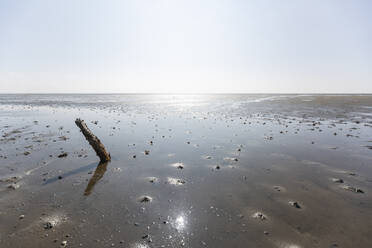 Denmark, Romo, Low tide mud flat on sunny day - ASCF01135