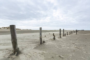 Dänemark, Romo, Hölzerne Buhne am Sandstrand - ASCF01140