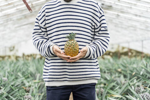 Nahaufnahme eines Mannes im Gewächshaus, der eine Ananas hält, lizenzfreies Stockfoto