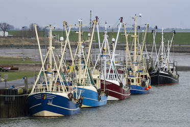 Germany, Schleswig-Holstein, Busum, Fishing boats moored in harbor - WIF04200