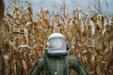 Junger Raumfahrer in einem verwelkten Maisfeld stehend - JCMF00457