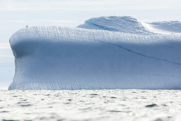 Majestic iceberg on Atlantic Ocean Greenland - HOXF05666