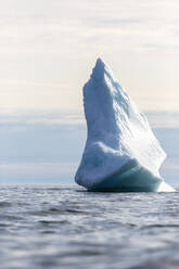 Majestätische Eisbergformation auf dem Atlantischen Ozean Grönland - HOXF05667