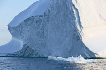 Birds below majestic iceberg formation Greenland - HOXF05676