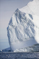 Majestätische Eisbergformation über dem sonnigen Ozean Grönlands - HOXF05721