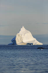 Majestätische Eisbergformation auf dem sonnigen, ruhigen Atlantischen Ozean Grönlands - HOXF05760