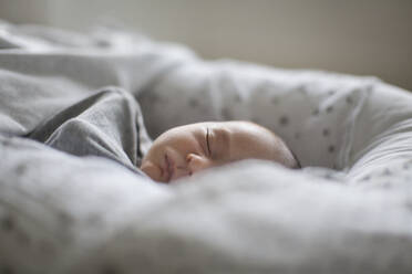 Tired innocent newborn baby boy sleeping in Moses sleeper basket - HOXF06180