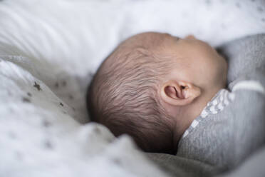 Close up innocent newborn baby boy sleeping - HOXF06191