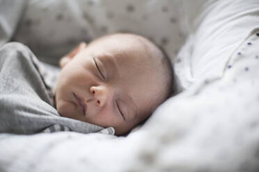 Close up tired newborn baby boy sleeping - HOXF06195