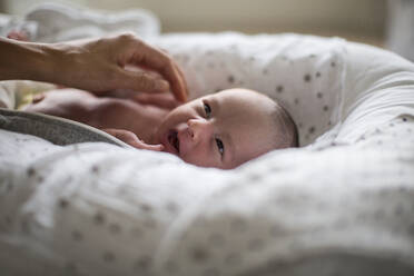 Cute newborn baby boy laying in bassinet - HOXF06198