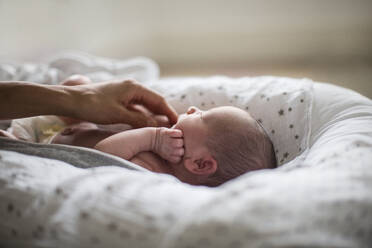 Mother touching cute newborn baby son in bassinet - HOXF06200