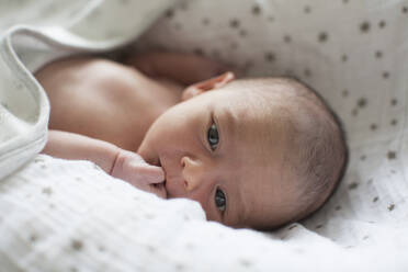 Close up cute newborn baby boy in bassinet - HOXF06202
