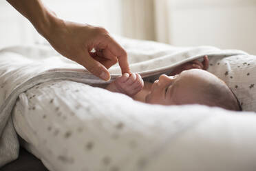 Mutter hält Hände mit neugeborenem Sohn im Stubenwagen - HOXF06213