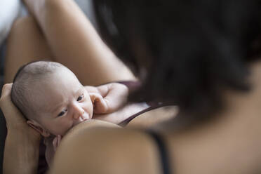 Mother breastfeeding newborn baby son - HOXF06215