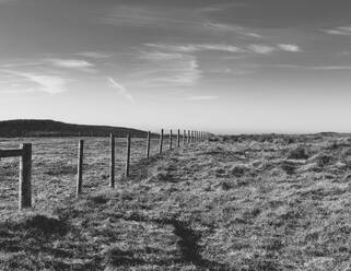 Zaun durch Weide- und Ackerland, Freifläche - MINF14350