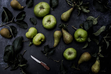 Nahaufnahme von grünen Birnen und Bramley-Äpfeln auf schwarzem Hintergrund. - MINF14403