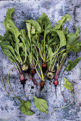 High angle close up of a bunch of freshly picked turnips on grey background. - MINF14426