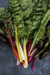 High angle close up of a bunch of freshly picked Swiss rainbow chard on grey background. - MINF14429