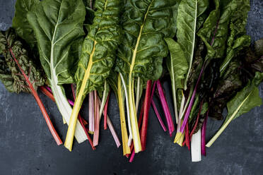 High angle close up of a bunch of freshly picked Swiss rainbow chard on grey background. - MINF14430