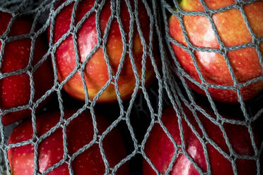 High angle close up of red apples in grey net bag on black background. - MINF14457