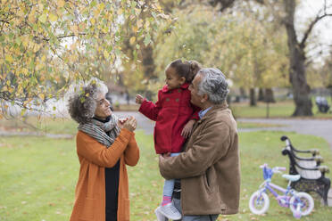 Großeltern mit Enkelin im Herbstpark - CAIF24521