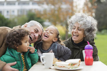 Verspielte Großeltern und lachende Enkelkinder beim Mittagessen im Park - CAIF24532