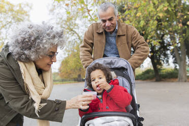 Grandparents feeding grandson in stroller at park - CAIF24552