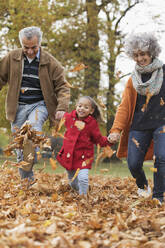 Verspielte Großeltern und Enkelin treten Herbstblätter im Park - CAIF24561