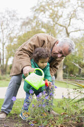 Grandfather and granddaughter watering flowers with watering can - CAIF24575