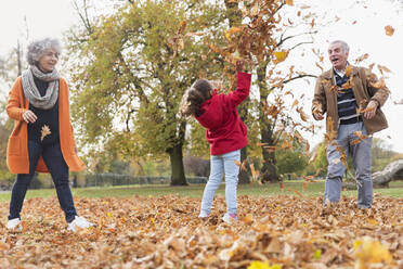 Playful grandparents and granddaughter throwing autumn leaves in park - CAIF24585
