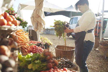 Woman working, arranging produce at farmer’s market - CAIF24592