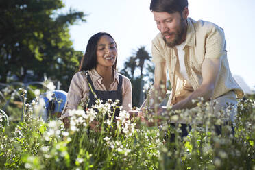 Ehepaar pflegt Blumen im sonnigen Garten - CAIF24599