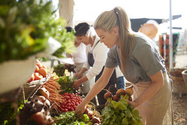 Woman working, arranging produce at farmer’s market - CAIF24604