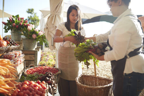 Frauen arbeiten auf dem Bauernmarkt - CAIF24619