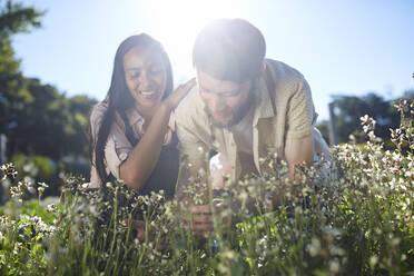 Smiling couple picking flowers in sunny garden - CAIF24658