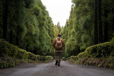 Rear view of man walking on forest road, Sao Miguel Island, Azores, Portugal - AFVF05838