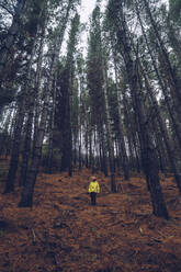 Man standing in forest, Spain - RSGF00244