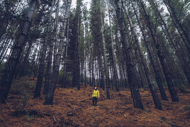 Mann stehend im Wald, Spanien - RSGF00245